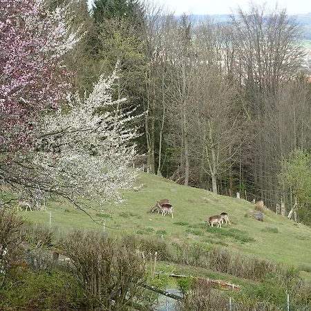 Schoenblick Hotel 3*