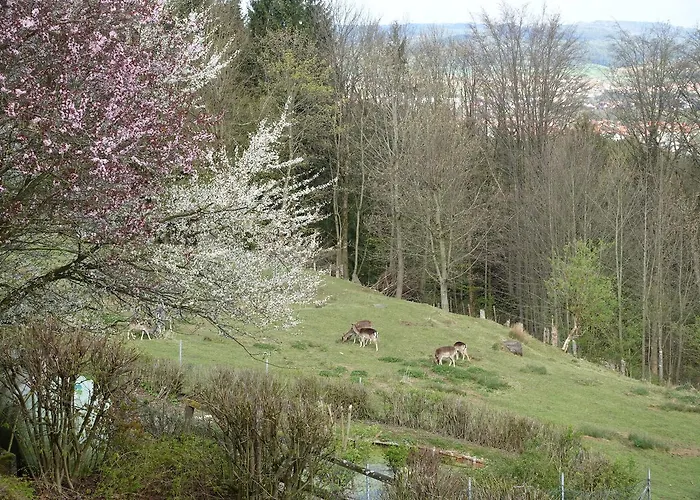 Schoenblick Hotel 3*